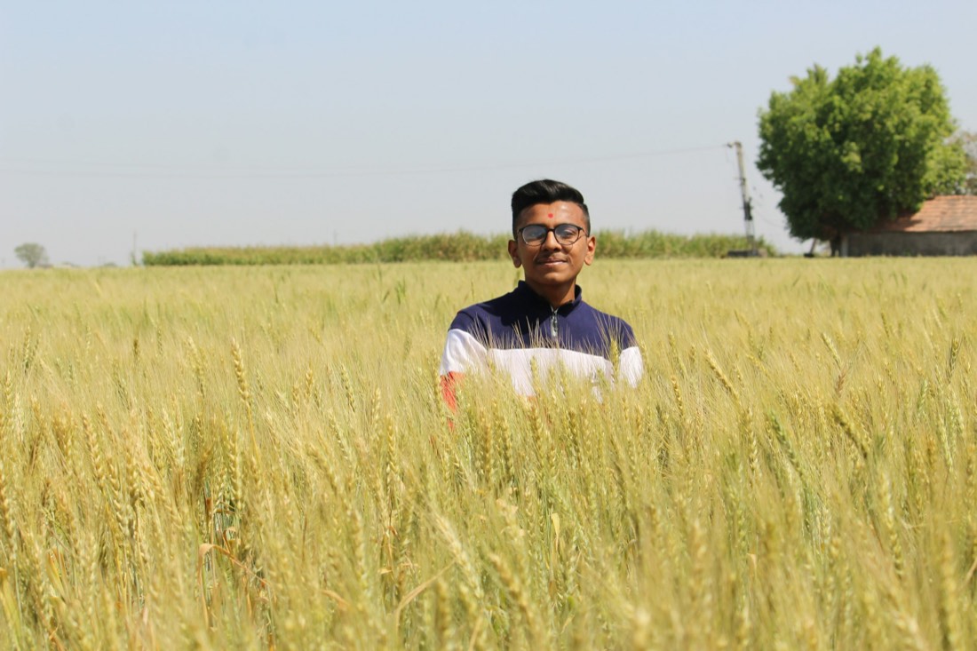 A farmer standing in a ripe wheat field