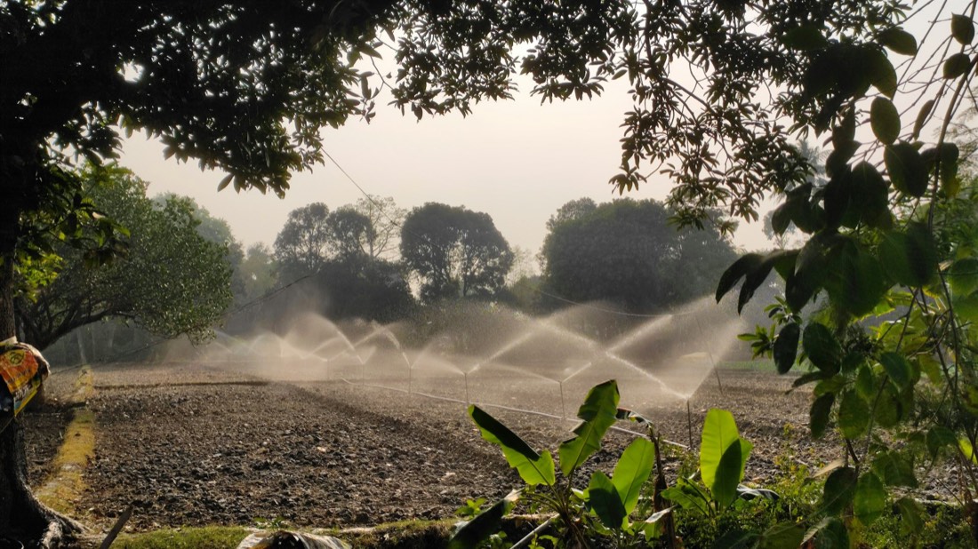 Sprinklers irrigating a farm field in India