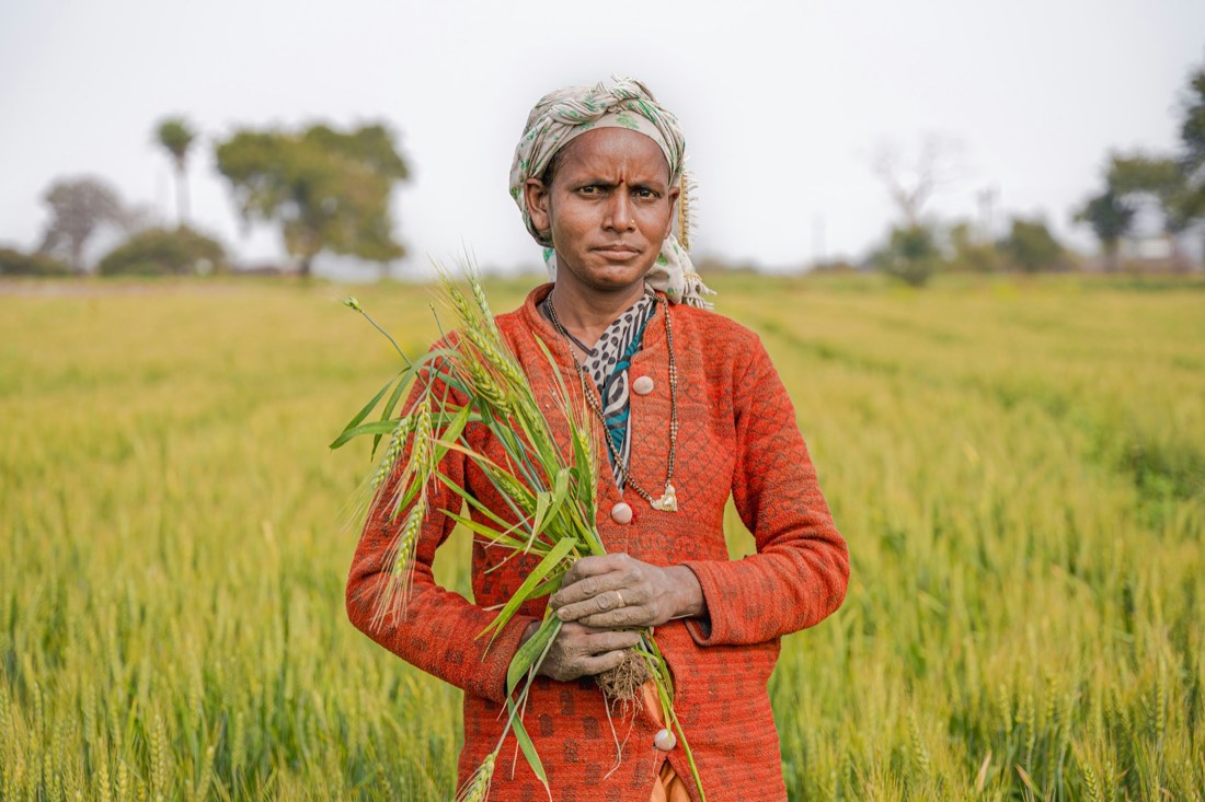 A woman farmer holding paddy in her field